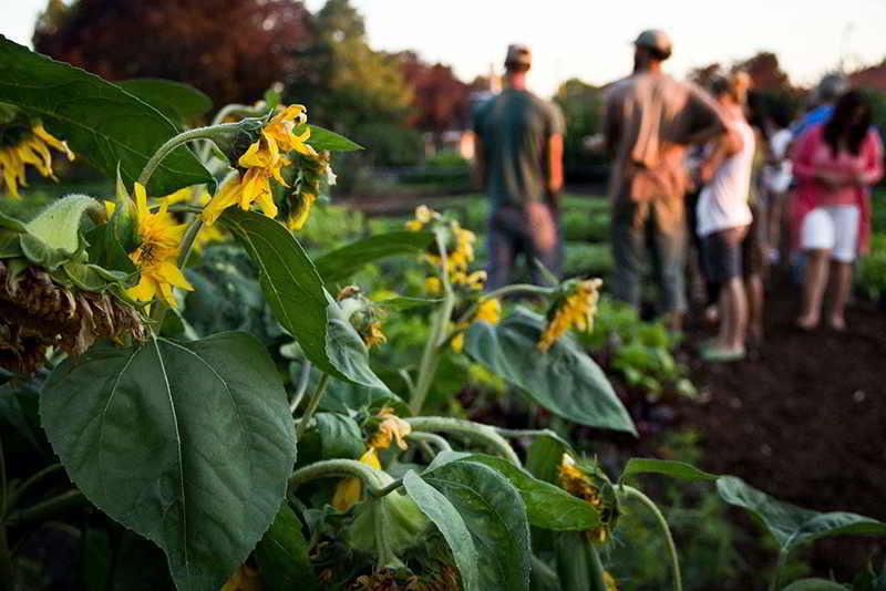 An urban farm that focused on "agroecology"