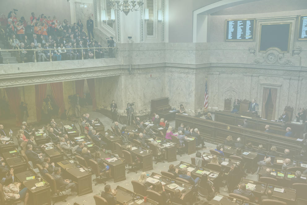 Olympia legislative halls