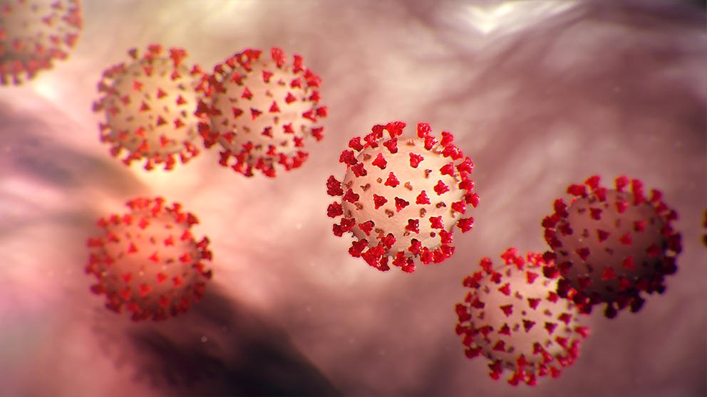 COVID-19 illustration from the CDC