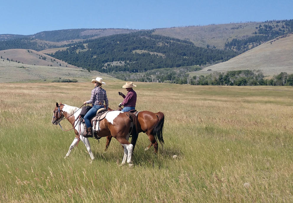 Two people on horseback during the daytime in a valley