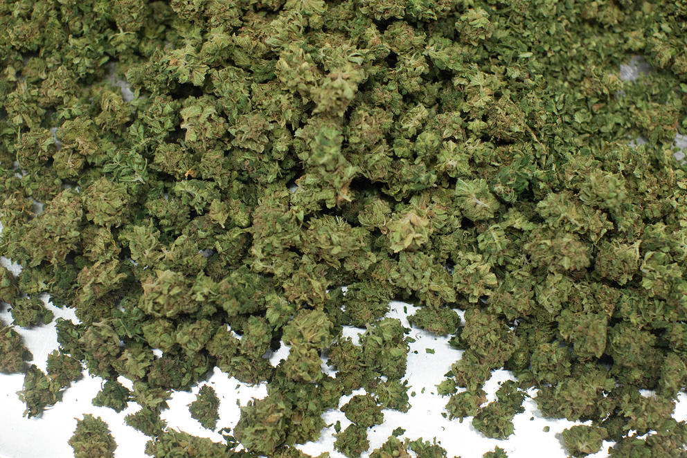 Cannabis flower