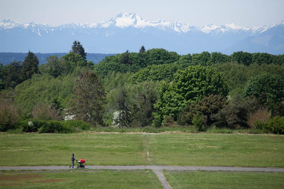 Person with stroller in park