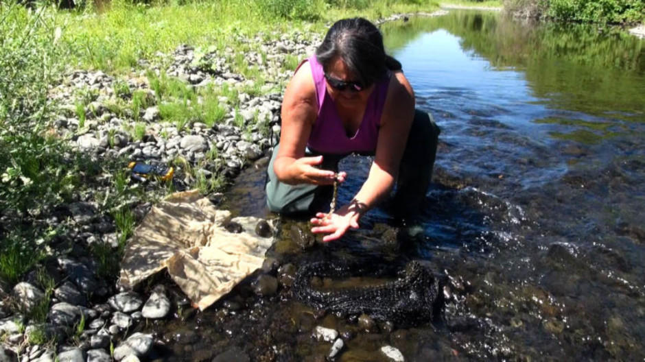 Eva_Carl-water_quality_or1gnv