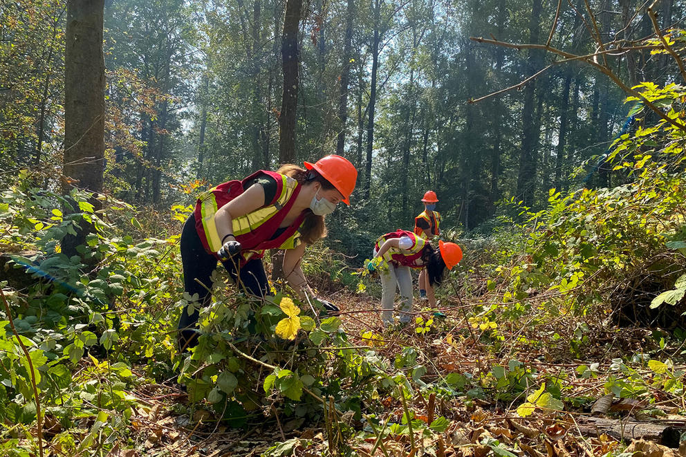 Students restoring wetlands.