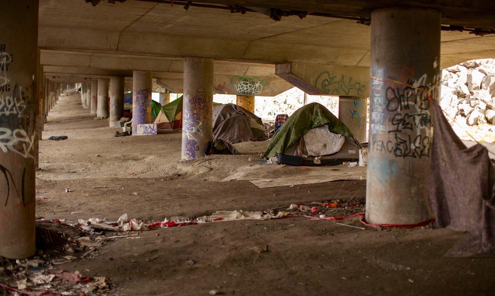 Jungle camp (1)