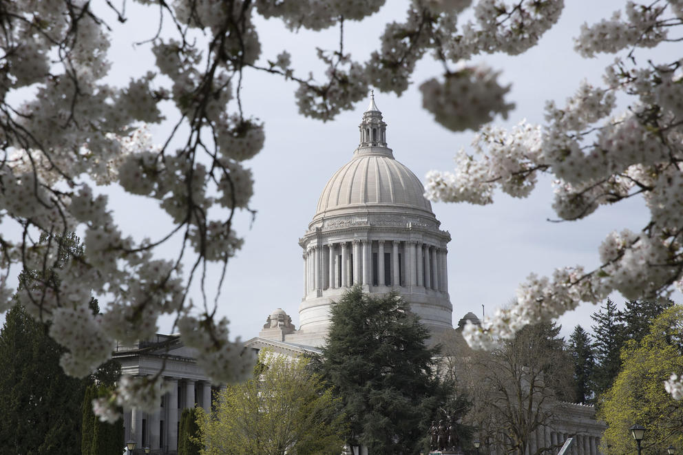 Photo of the Washington state Capitol in Olympia