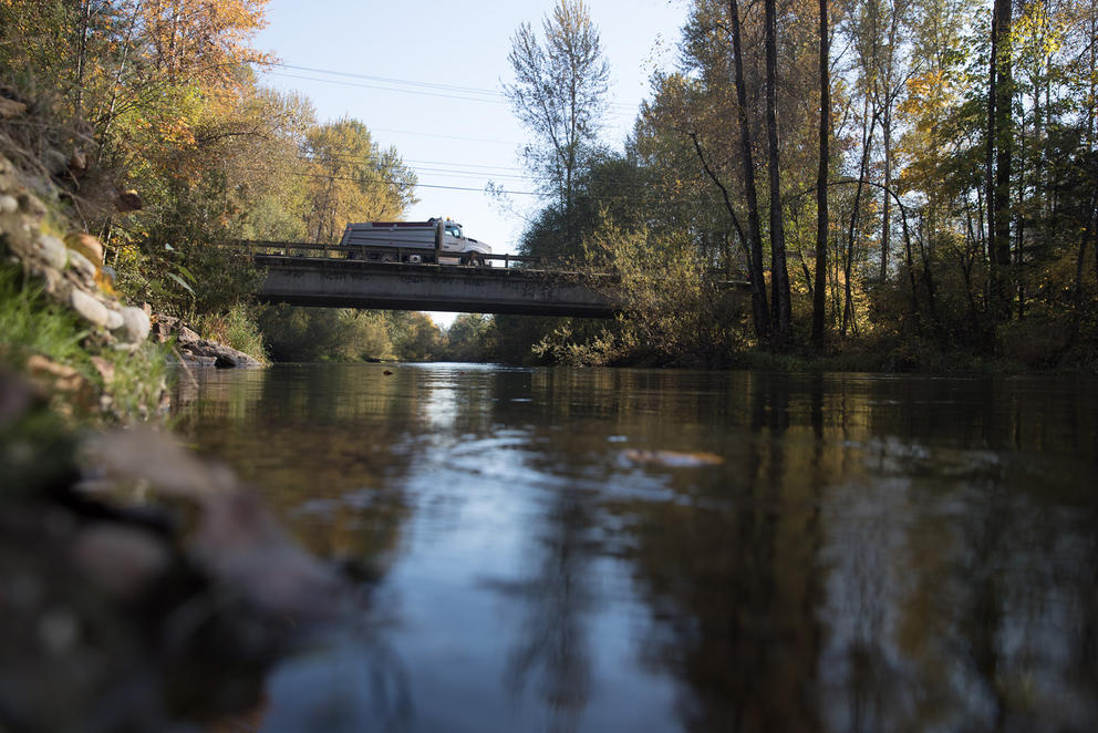 river landscape