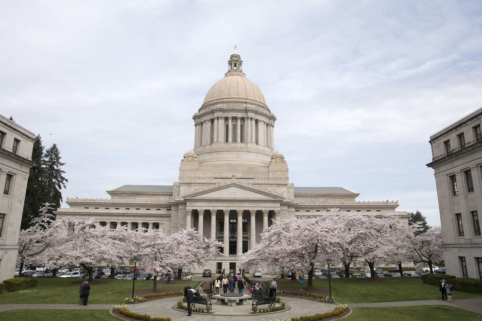 State Capitol dome flanked by blossoming cherry trees