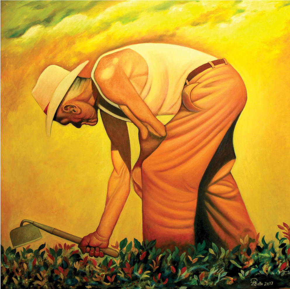 A farmworker bent over hoeing a row of crops