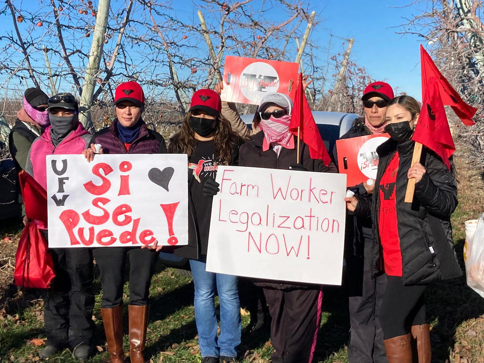 Protesters holding signs and banners