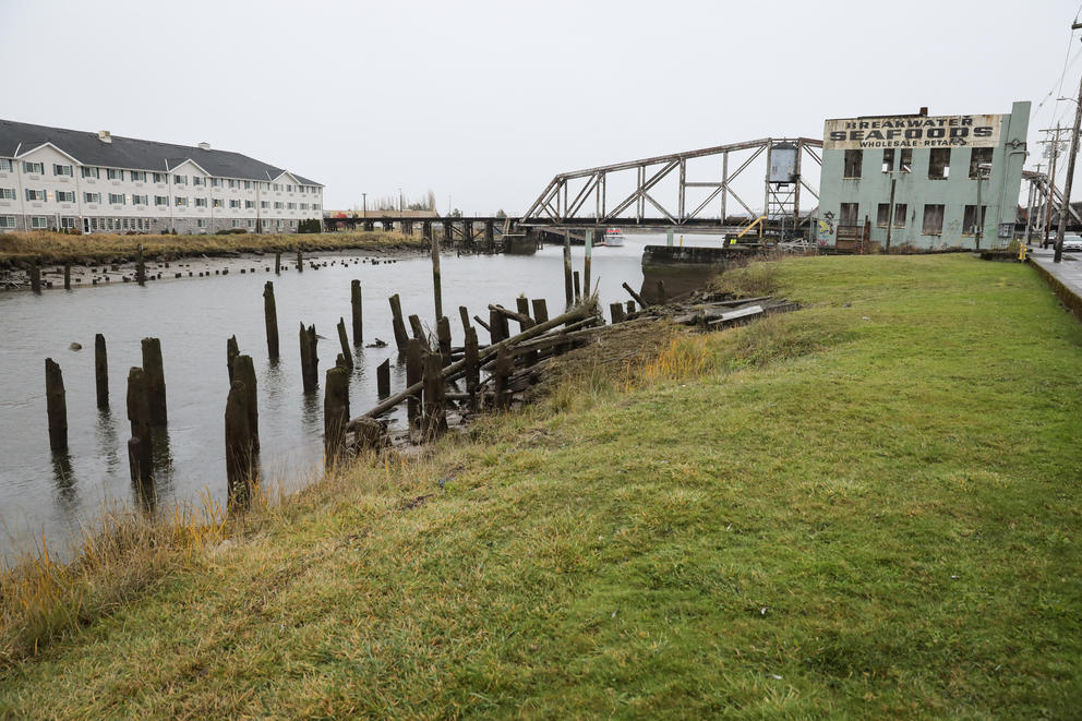 A grassy river bank, with a warehouse structure and bridge in the background