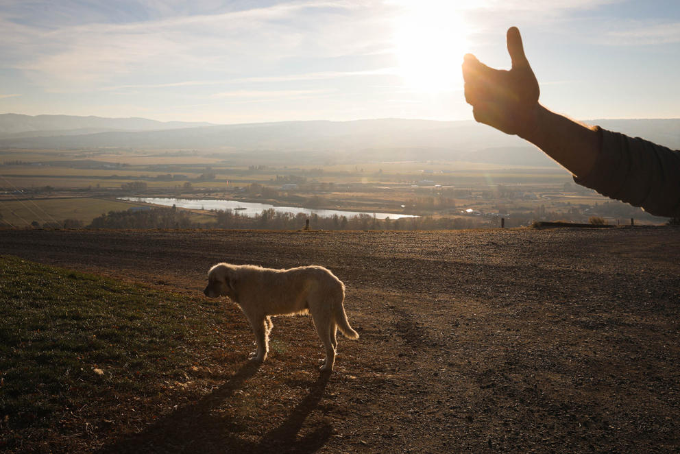 A bluff near Ellensburg 