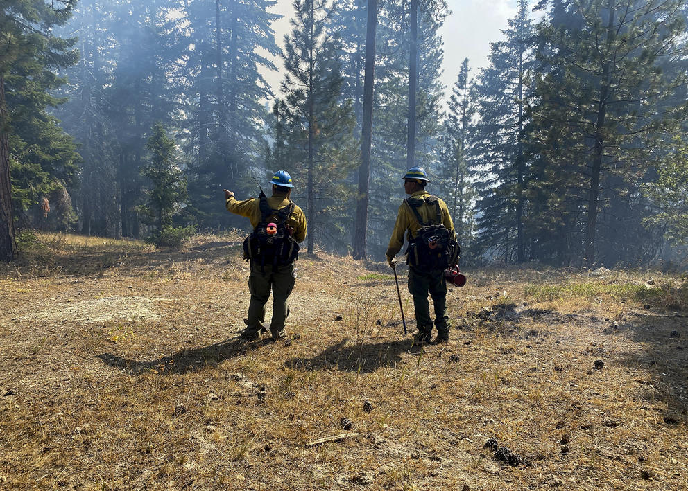 firefighters