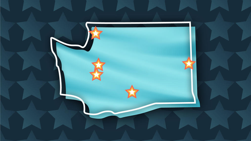 Washington state voter guide