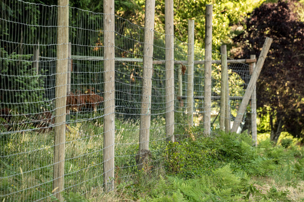 A high wire fence in a field.