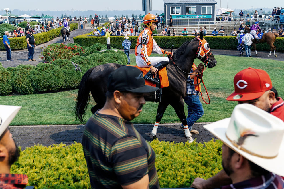 a jockey rides a horse