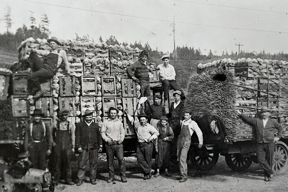 A group of Farmers with truck loads of vegetables. 