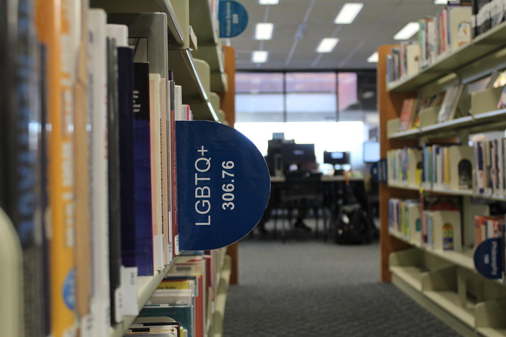 A library shelf's tag for LGBTQ+ books is prominently displayed.