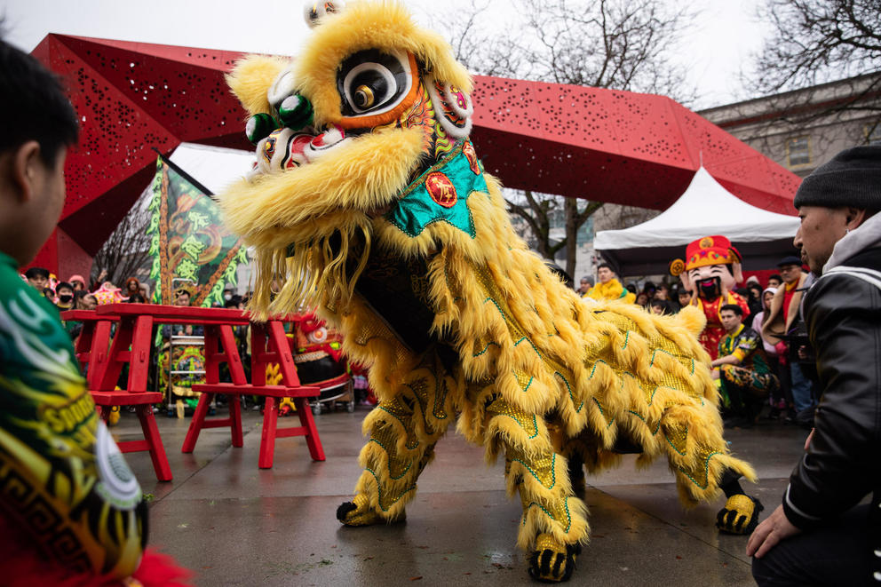 Dancers wearing a traditional Chinese lion costume dance in a park.
