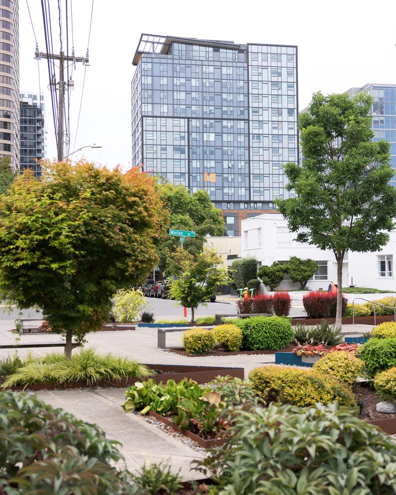 a high rise apartment building in the background with trees and shrubs in the foreground