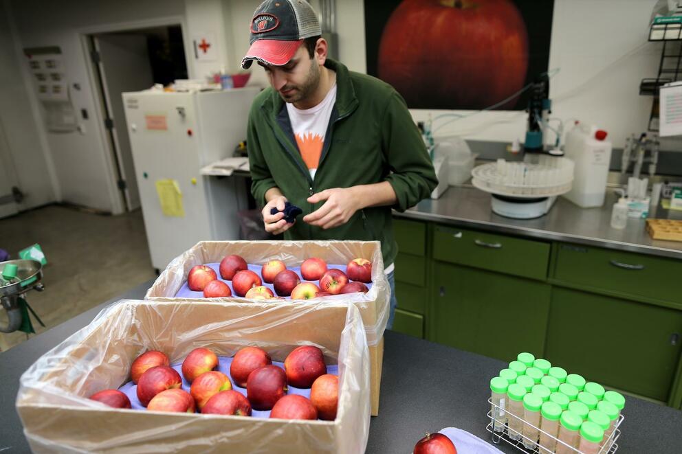 man with two boxes of apples