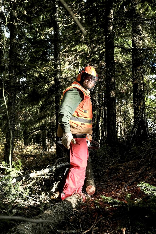 A person stands in a thick of trees.