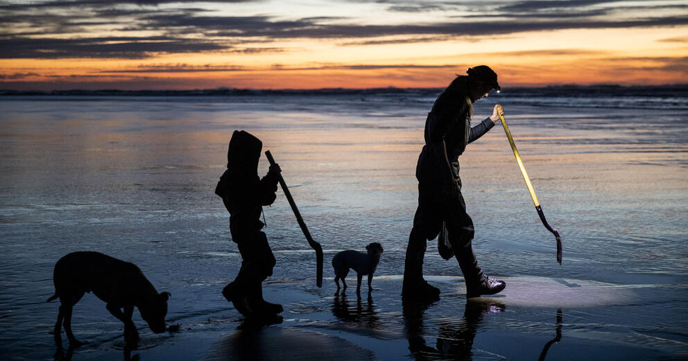 Two people with shovels and two dogs are silhouetted at a beach at sunset.