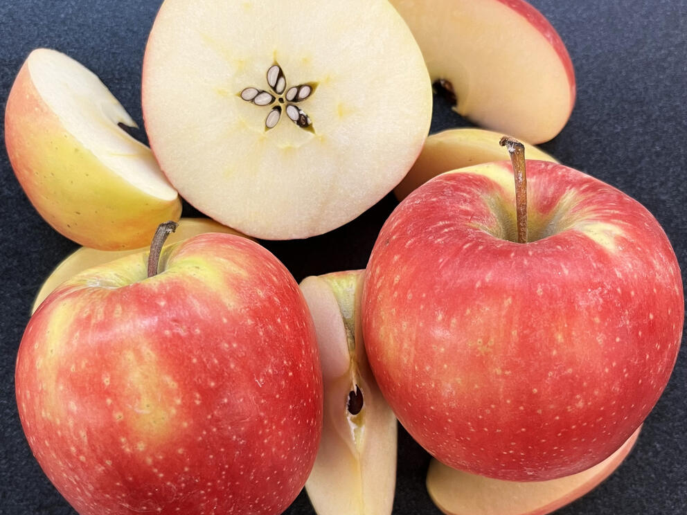Several WA 64 apples, now called Sunflare
