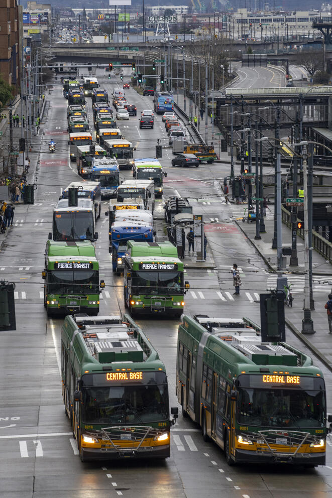 dozens of buses drive down fourth avenue in a procession