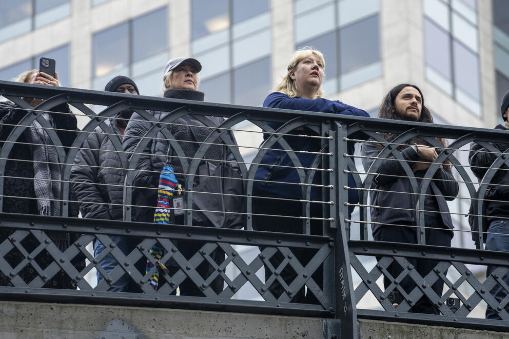 people stand on an overlook 