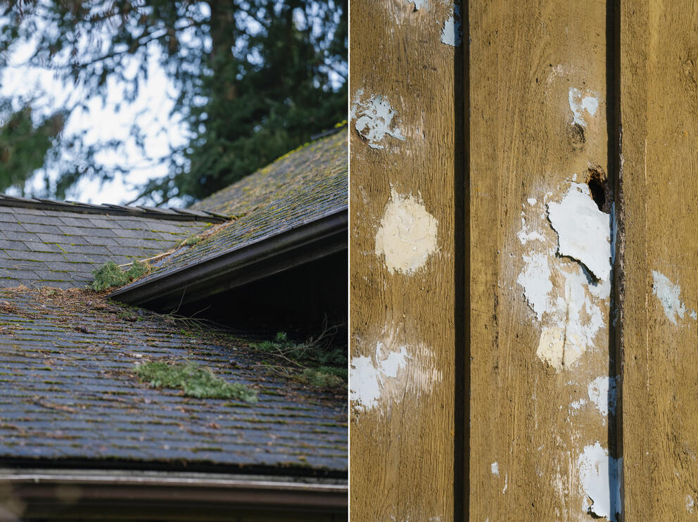 Two images. One of a roof with pine needles on it, and the other image shows spackle on several fence boards