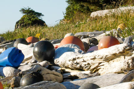 121117KC_marinedebris1_xs0jhq