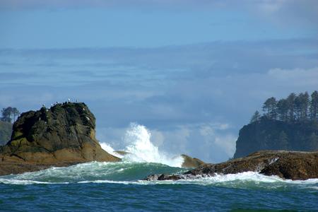 A view on Washington's Olympic coast