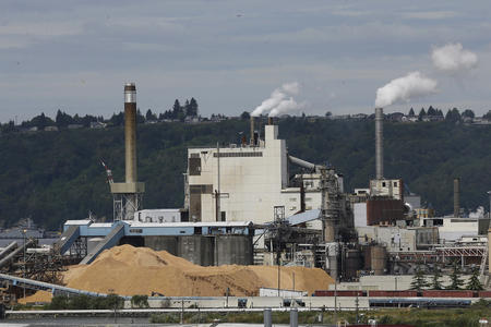 Smoke comes out of smokestacks at a paper mill