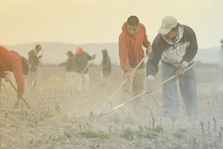 farmworkers