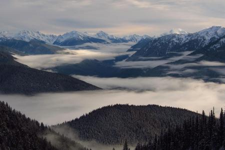 Fog over a rolling forest