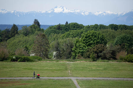 Person with stroller in park
