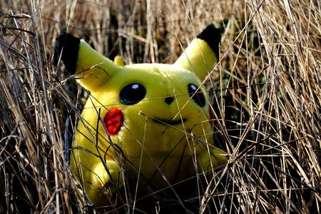 pikachu