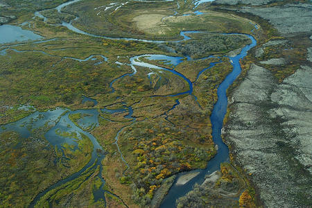 Aerial view of braided wetlands and tundra that is typical of the Bristol Bay watershed in Alaska.     Upper Talarik Creek (shown here) flows into Lake Iliamna and then the Kvichak River before emptying into Bristol Bay.