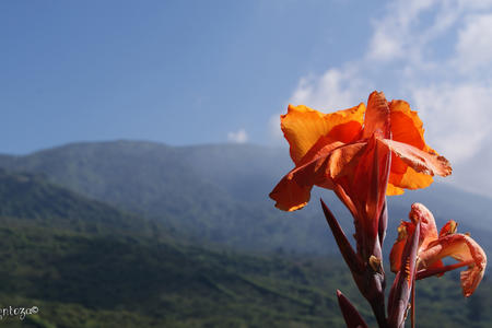 El Salvador