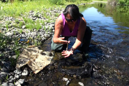 Eva_Carl-water_quality_or1gnv