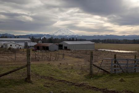 A view of Mountain View Dairy farm near Graham, Washington.