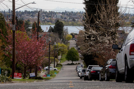 Parked cars crowd one side of 68th Avenue at the intersection with Dayton Street, looking east towards Green Lake and the Cascades, in Seattle’s Phinney Ridge neighborhood.