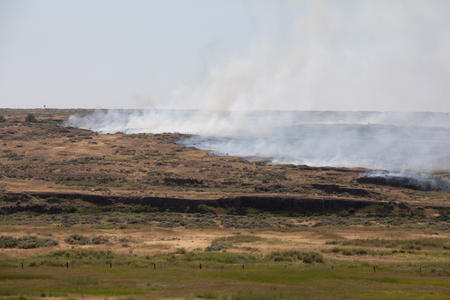 wildfire