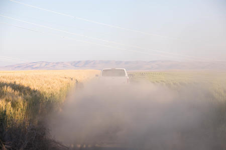 File photograph of a pickup truck drives along a dirt road in rural Waterville, July 2017. Farmers and ranchers are some of the small business owners with an all-family staff who have found themselves priced out of traditional insurance. (Matt M. McKnight/Crosscut)