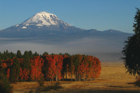 Rainier Conboy Lake National Wildlife Refuge