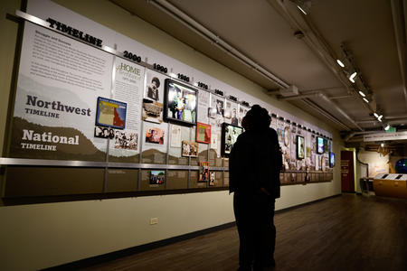 Person looking at museum exhibit