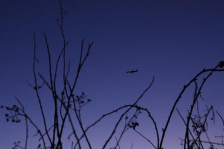 plane flying