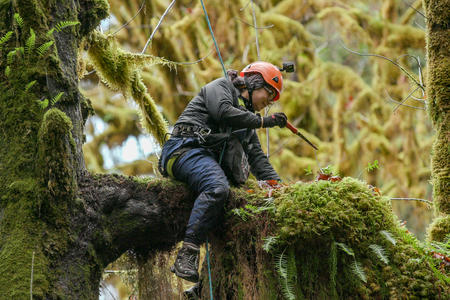 woman sitting on branch holding tool