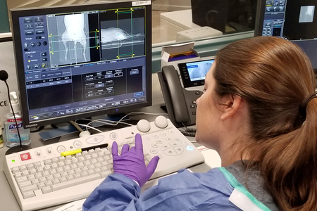 A doctor looks at a body scan of a dog on a computer screen